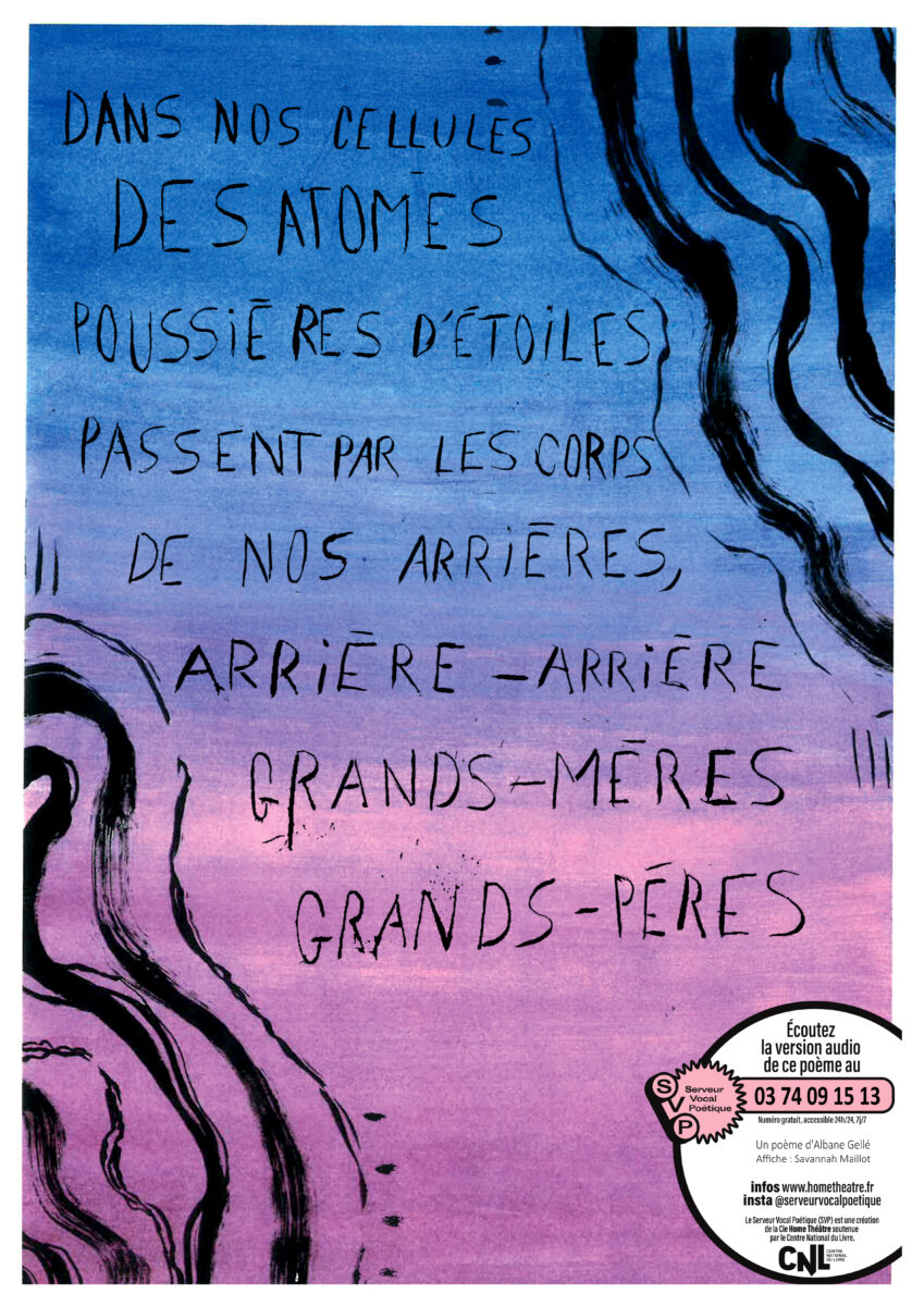 Affiche SVP6_Albane Gellé