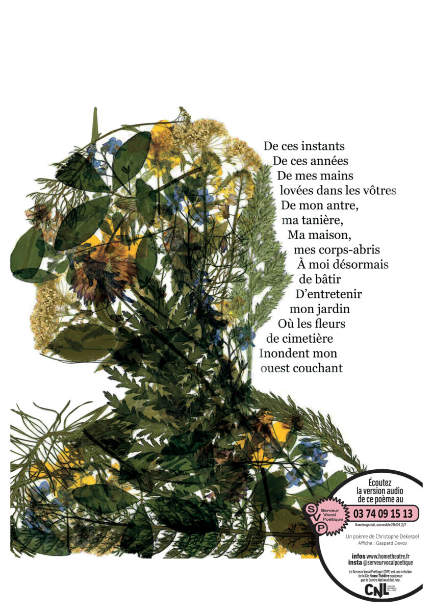 Affiche SVP6_Christophe Dekerpel