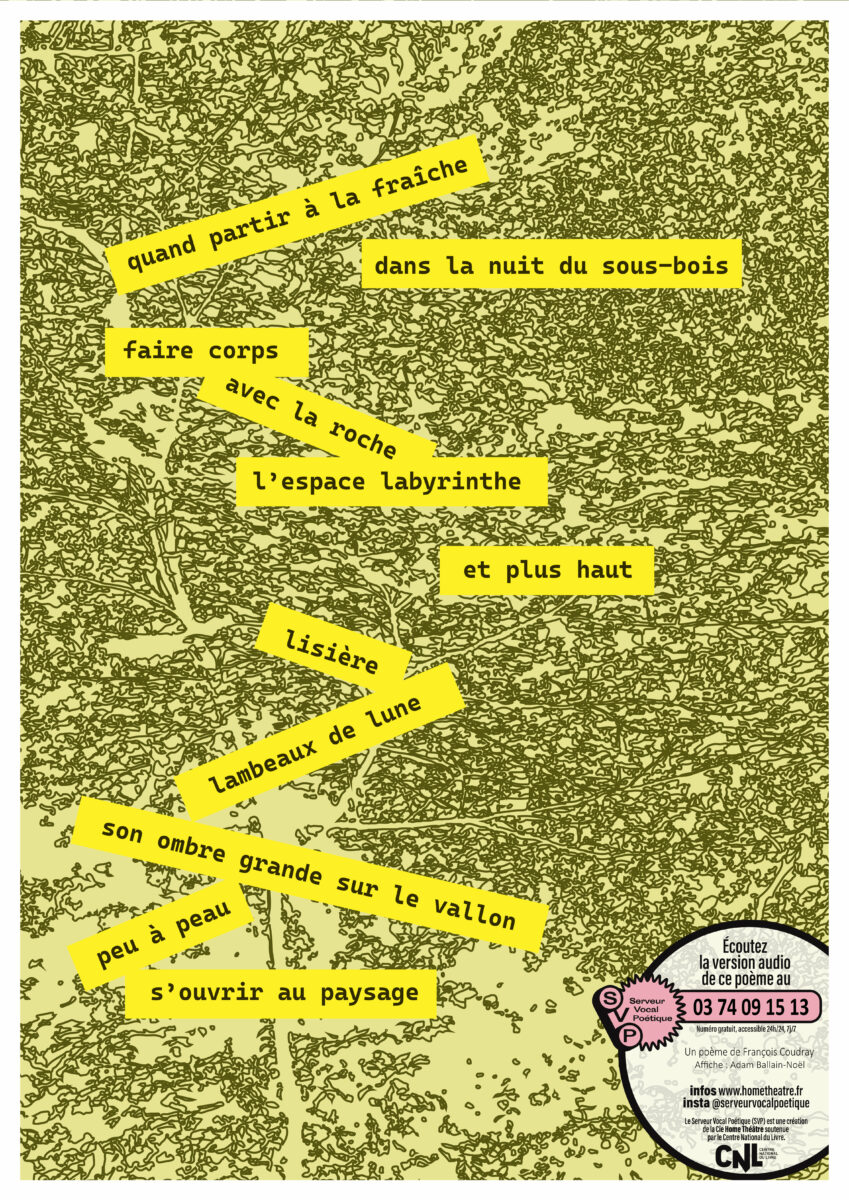 Affiche SVP6_François Coudray