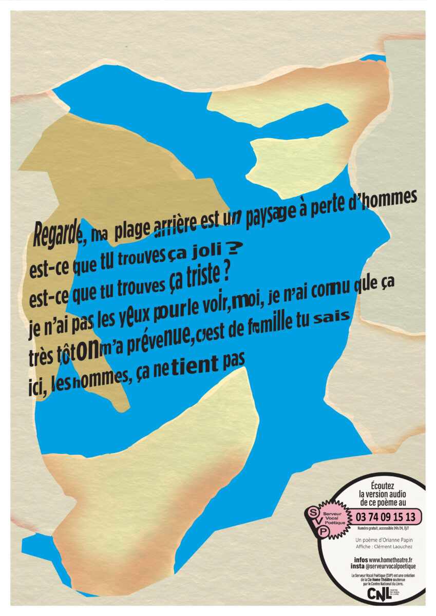 SVP6 Affiches