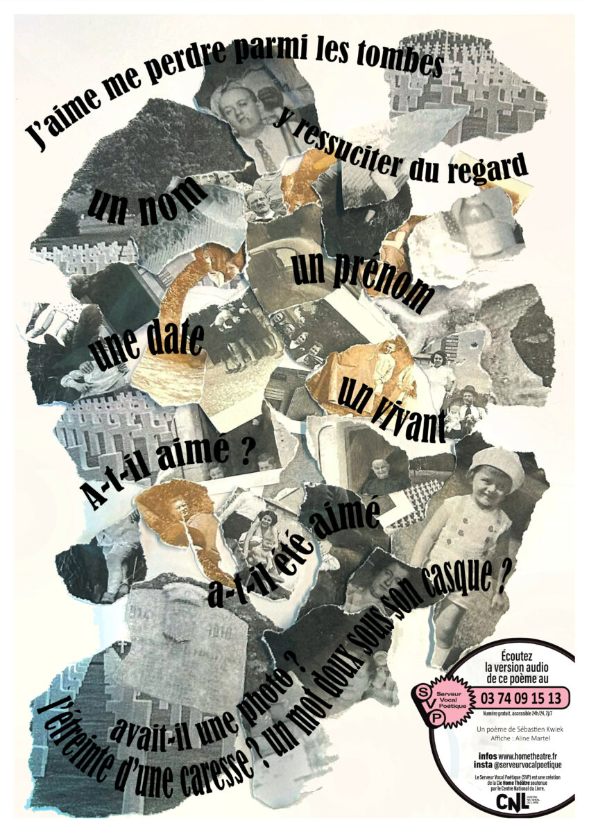 Affiche SVP6_Sébastien Kwiek