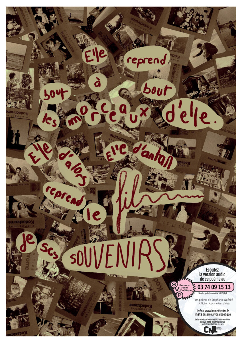 Affiche SVP6_Stéphanie Quérité